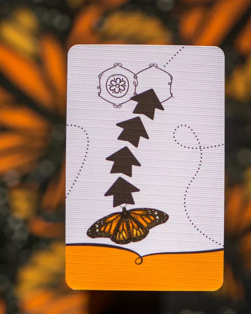 Test du jeu MARIPOSAS carte action 2